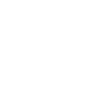 (c) Rizziconsulting.com.br